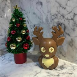 Renne du Père Noël